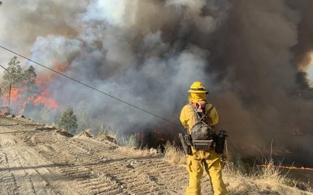 Cal Fire firefighter Xavier Chavez shoots photos with his phone while keeping eye out for hotpots during the Kincade Fire in Sonoma County. The fire has destroyed 374 buildings and is currently 80 percent contained.
