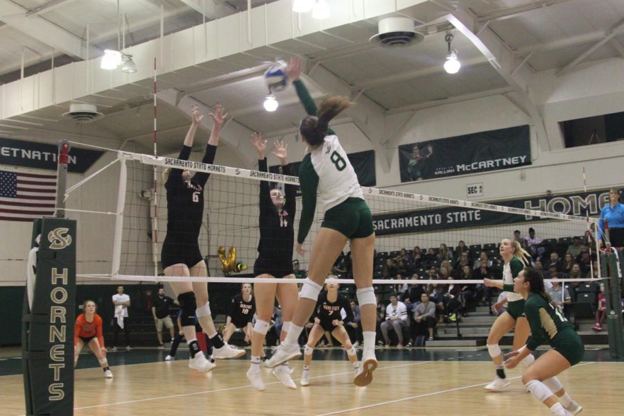 Sac State senior outside hitter Sarah Davis spikes the ball against Idaho State on Saturday, Nov. 16 at The Nest. As the lone senior, Davis had a match-high 17 kills in the win over the Tigers.