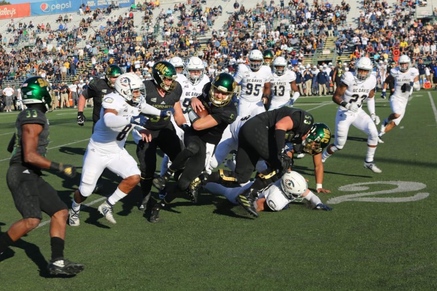 Sac+State+junior+quarterback+Kevin+Thomson+rushes+for+a+first+down+against+UC+Davis+on+Saturday%2C+Nov.+23+at+Hornet+Stadium.+The+No.+4+Hornets+host+the+second+round+of+the+FCS+Playoffs+against+Austin+Peay+on+Saturday+at+6+p.m.