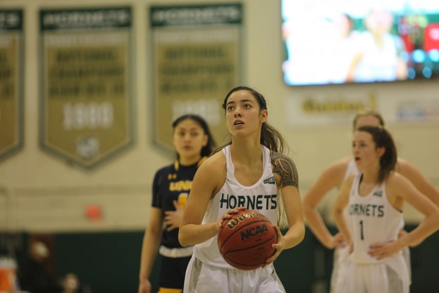 Sac+State+freshman+guard+Jordan+Olivares+prepares+to+shoot+a+free+throw+against+Northern+Colorado+on+Thursday%2C+Jan.+16+at+the+Nest.+The+Bears+defeated+the+Hornets+73-63.