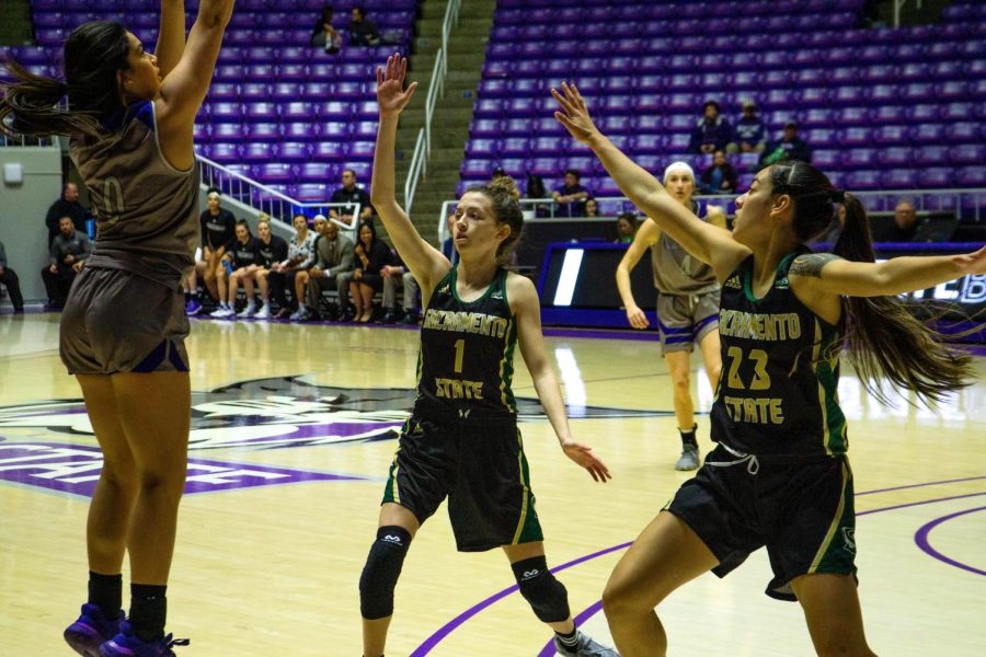 Weber State freshman guard Ula Chamberlain shoots over Sac State sophomore point guard Milee Enger (left) and freshman guard Jordan Olivares on Saturday, Jan. 11 at the Dee Events Center. The Hornets defeated the Wildcats 91-67 on the road.