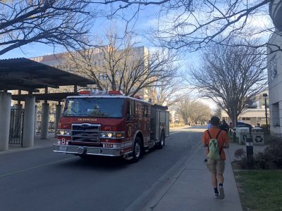 Sac State student injured on campus by falling tree branch