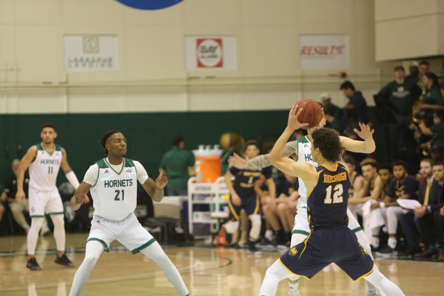 Senior forward Osi Nwachukwu defends a pass against Northern Colorado at the Nest on Saturday, Feb. 15. Nwachukwu and the Hornets play their final game of the regular season Saturday at Portland State University.