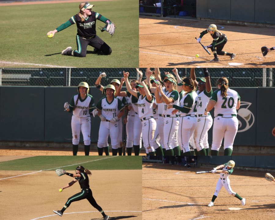 The Sac State softball team ended their season with a 14-11-1 record before its cancellation amid COVID-19 concerns. The Hornets were just a few days away from beginning conference play when the Athletics Department announced the cancellations.