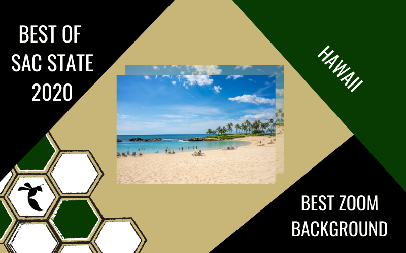 Hawaii voted ‘Best Zoom Background’ in 2020 Best of Sac State poll