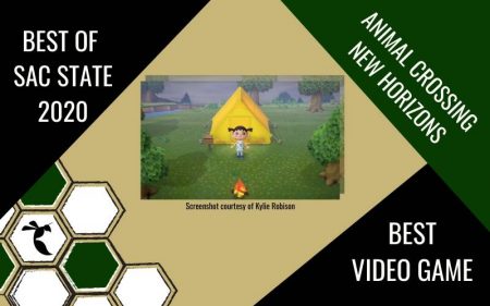 BEST VIDEO GAME: Animal Crossing: New Horizons