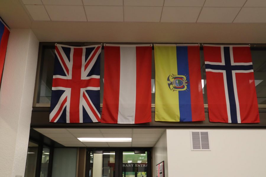 Flags hang in Sacramento State’s Global Studies Lounge on March 11, 2020. ICE announced Monday that international students will have to take at least one in-person class in the fall to be able to stay in the U.S., putting Sac State international students at risk of being deported.