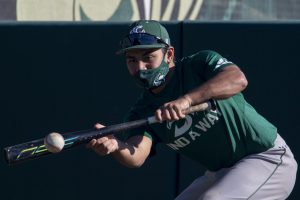 Sacramento State senior infielder Keith Torres bunts the ball while running drills during baseball practice at the John Smith Field at Sac State in Sacramento, California, Friday, Feb. 5, 2021. During last season, Torres had a batting average of .294 in the 16 games played.