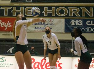 
Photo Caption: McKenna Smith sets up for an attack during the home opening Sac State volleyball game Jan. 31, 2021 at the Nest. Volleyball teams, including Sac States, are allowed to test for COVID-19 only once per week if masks are worn during practice and competition.

