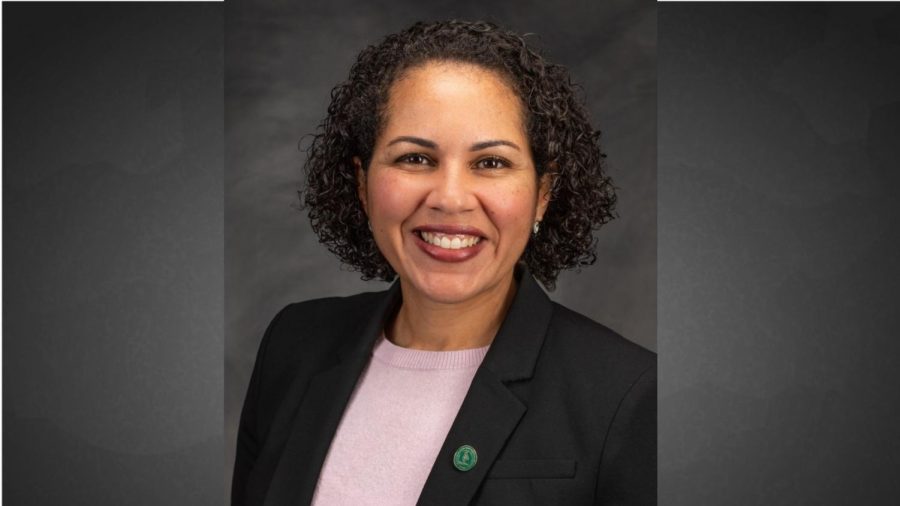 Diana Tate Vermeire, Sacramento State vice president for inclusive excellence, is leaving the university May 21, 2021, according to a SacSend email sent by Sac State President Robert Nelsen. Vermeire accepted a new position as the senior vice president of strategy at the Schott Foundation for Public Education. Photo courtesy of Sacramento State. 