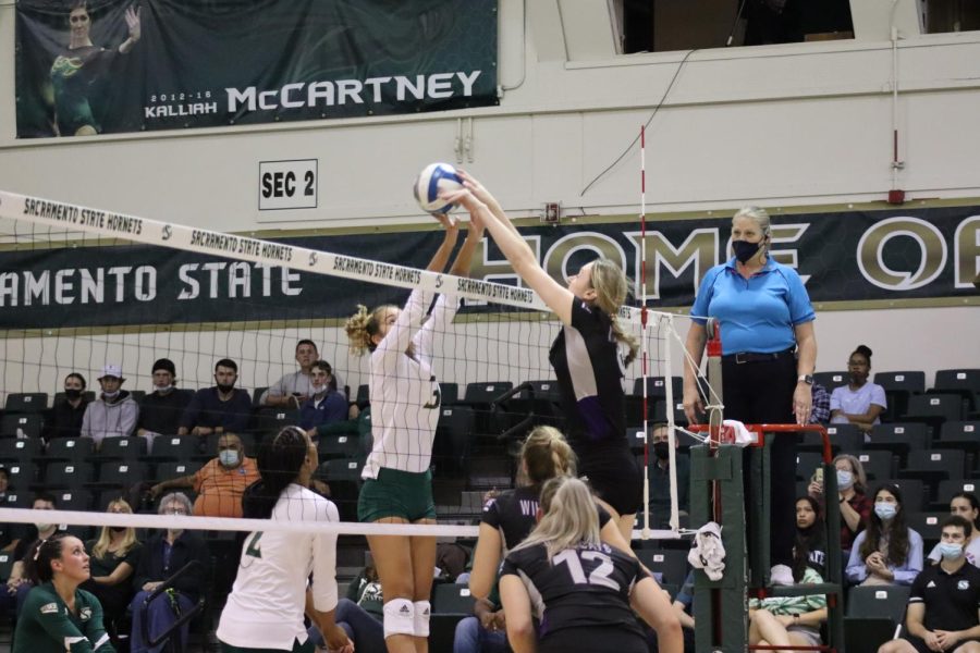 Sac+State+senior+outside+hitter+Macey+Hayden+%283%29+attempts+to+force+the+ball+over+the+net+in+a+battle+with+Weber+State+redshirt+sophomore+opposite+hitter+Emma+Magnum+%289%29%2C+at+the+Hornets+Nest+on+Oct.+28%2C+2021.+Sac+State+swept+the+Weber+State+Wildcats+and+extended+its+win+streak+at+home+to+four+games.