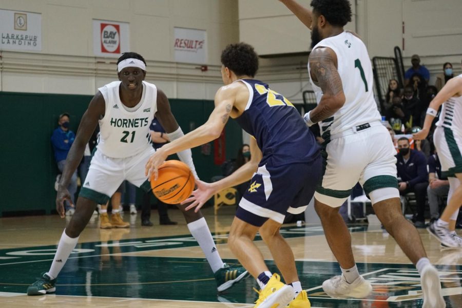 Sacramento State men’s basketball junior center Jonathan Komagum and freshman guard Teiano Hardee guard the pick and roll against UC San Diego on Saturday, Nov. 20, 2021, at the Hornets Nest. The mne’s basketball team will face off against UC Davis on Tuesday in the Causeway Classic at 7:30 p.m.