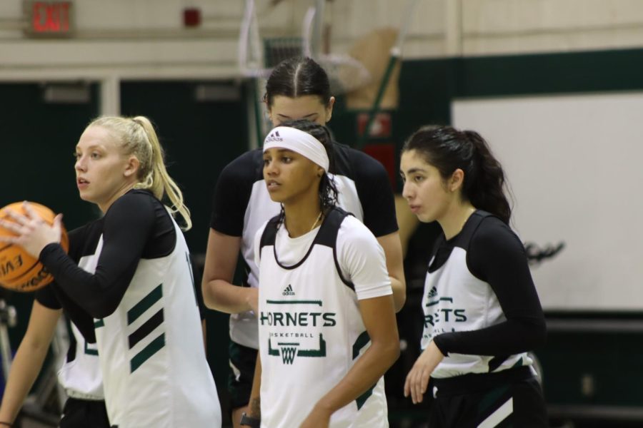 Sac State Women's Basketball (@sacstatewbb) • Instagram photos and videos