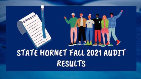 The State Hornet compiled the results of our fall 2021 audit. Our audit found that each section had over half of stories focused or centered on underrepresented communities. (Graphic by Emma Hall).