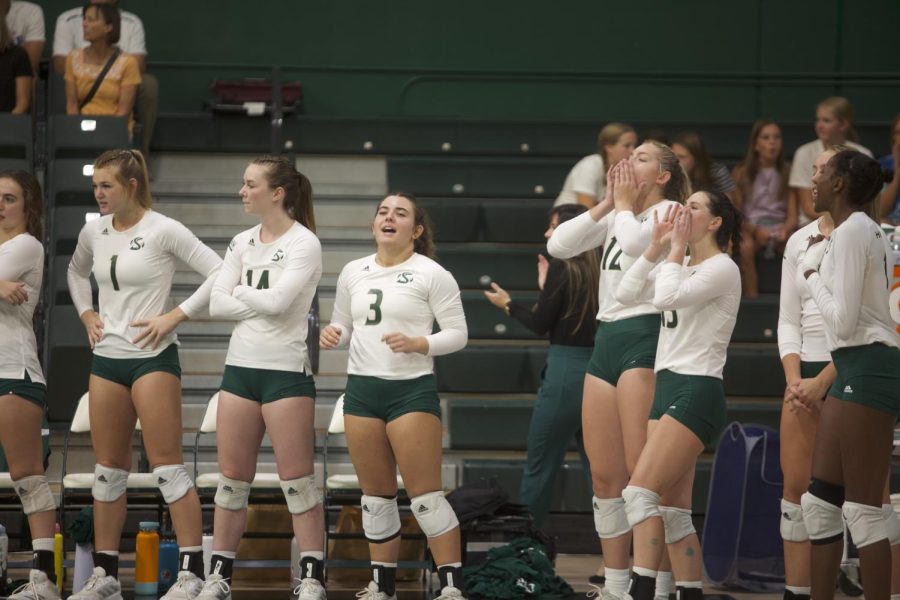 The Sac State volleyball team’s bench on their feet cheering on their team against Idaho State Saturday, Sept. 24, 2022 at The Nest. The Hornets swept the Bengals 3-0 to move to 2-0 in the Big Sky after a rocky 4-8 season start. 