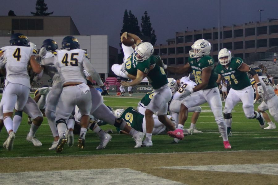 Sacramento State senior quarterback Asher O’Hara leaps into the endzone for his 8th rushing touchdown against University of Northern Colorado on Saturday Oct.8,2022 during the Hornets’ 55-7. O’Hara is second in the Big Sky Conference in rushing touchdowns.
