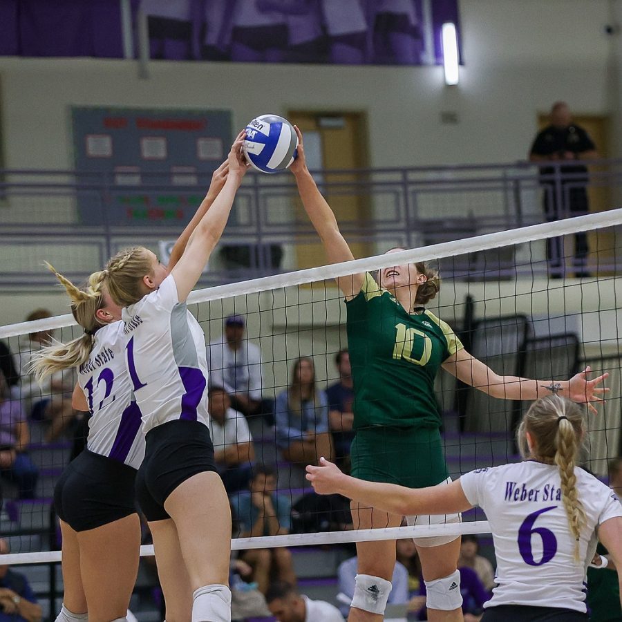 Sac State senior setter Ashton Olin blocks a ball on the road against Weber State on Oct. 13 in a 3-0 Hornet loss in The Reed K. Swenson Gym in Ogden, Utah. Olin had 29 assists in the Hornets’ loss on Thursday. 