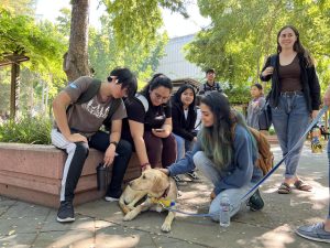 A group of students gather in the Library Quad on Oct. 10, 2022, to pet one of the many service animals at “It’s Okay to Not be Okay Day.” Multiple students noted that the service puppies were their favorite part of the event.