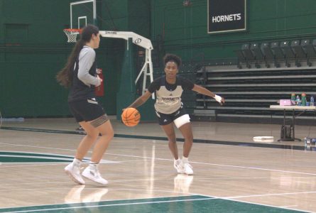 Senior guard Kahlaijah Dean drives off a screen by sophomore Katie Peneueta in practice on Friday, Nov. 11, 2022 at The Nest at Sacramento State. Dean transferred from Oakland University after totaling a thousand points in her time as a Golden Grizzly before joining Sac State this season.
