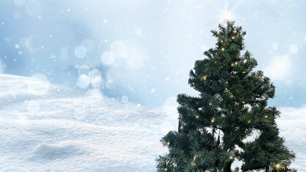 What a wonderful time it is as the holidays are right around the corner. The Ultimate Winter Guide has movies, music, and more to get into the spirit during winter break.