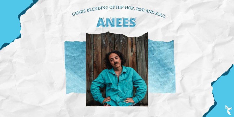 Anees Mokhiber is a singer and songwriter from Washington D.C. He released his album “Landscapes” in 2011 and is most known for his song “Sun and Moon.” (Photo courtesy of ANEES and Canva graphic by Hailey Valdivia)
