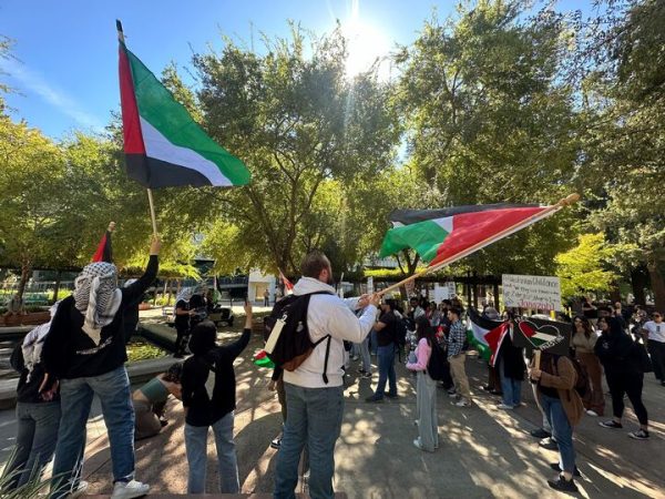 Students protesting in solidarity with Palestine during a walkout in the library quad Oct. 12, 2023. Students held up flags and signs that read phrases such as “Free Palestine” and “Right to Exist, Resist Return” while movement leaders shared their stories.