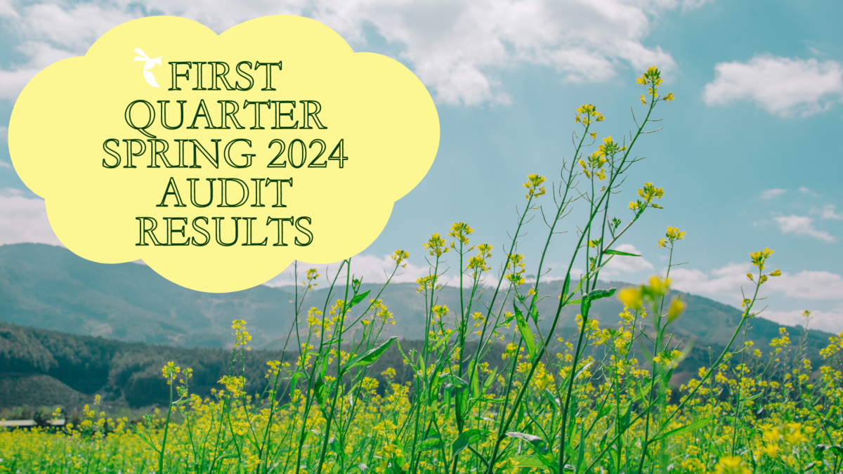 The State Hornet’s spring 2024 first quarter audit reports on the diversity of coverage published by The State Hornet. While some areas have improved in coverage, there are still improvements to be made in covering the Native/Indigenous and the Latinx/Hispanic community. (Graphic created in Canva by Julianna Rodriguez)