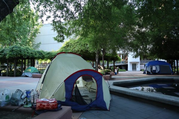 A tent being assembled in the middle of the Sacramento State’s Library Quad Monday, April 29, 2024. Protestors were set up with necessities, music and books to keep them occupied.