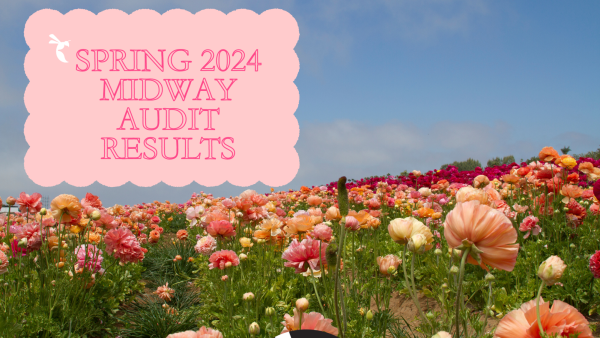 The State Hornet’s spring 2024 second quarter audit reports on the diversity of coverage published by The State Hornet. While some areas have made improvements in coverage, there are still ways to build upon our Latinx/Hispanic community. (Graphic created in Canva by Julianna Rodriguez)