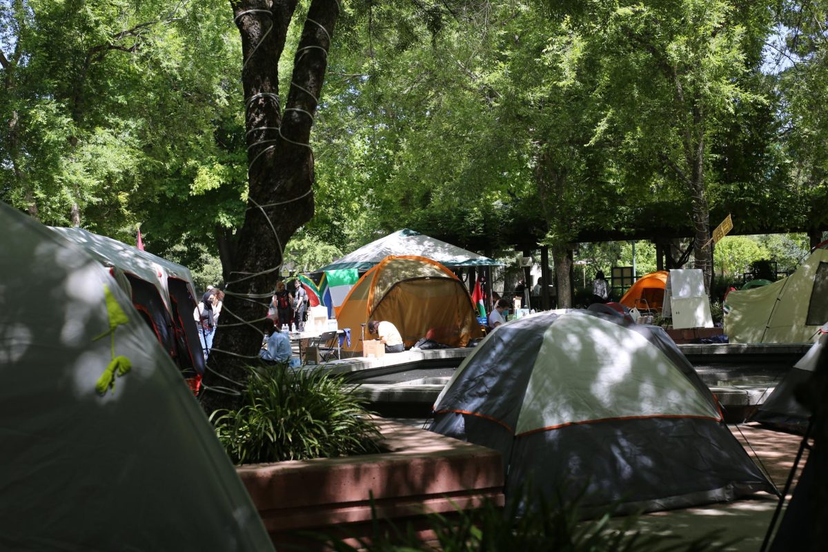 The+pro-Palestine+protesters+set+up+more+tents+for+a+second+day+of+encampment+in+the+Sacramento+State+Library+Quad+Tuesday%2C+April+30%2C+2024.+The+encampment+at+Sac+State+is+one+of+many+across+the+country+as+college+students+respond+to+the+ongoing+conflict+in+Gaza.