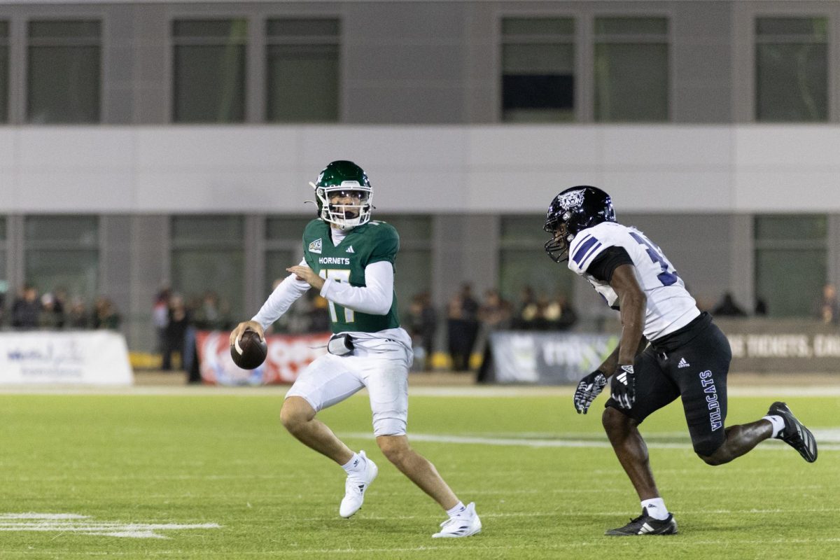 Sacramento State redshirt freshman quarterback Carson Conklin throwing during the Hornets' Homecoming win against Weber State Saturday, Oct. 19, 2024. Conklin threw for 357 passing yards and 3 touchdowns against Weber State.