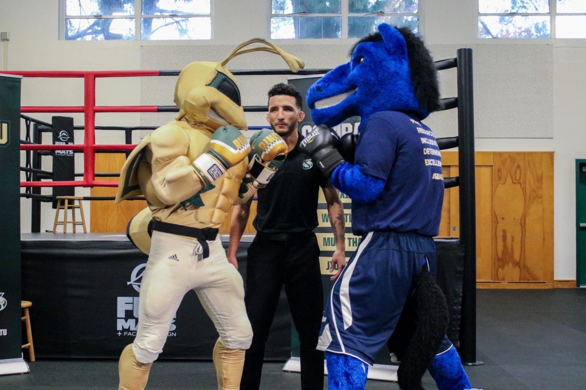 Herky the Hornet faces off against Gunrock the Mustang in a press conference in Yosemite Hall Wednesday, Nov. 13, 2024. The press conference announced the Causeway Boxing Classic at the Sacramento Memorial Auditorium on Nov. 22. 