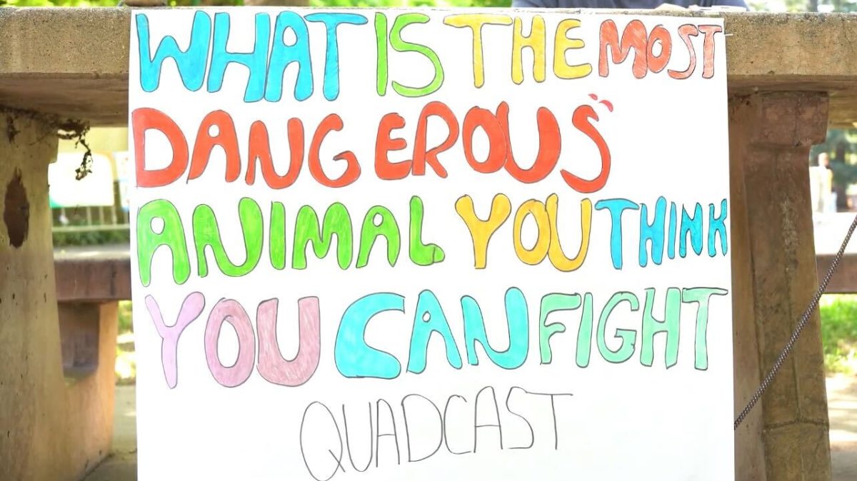 Quadcast Ep. 1: What is the most dangerous animal you think you could fight?