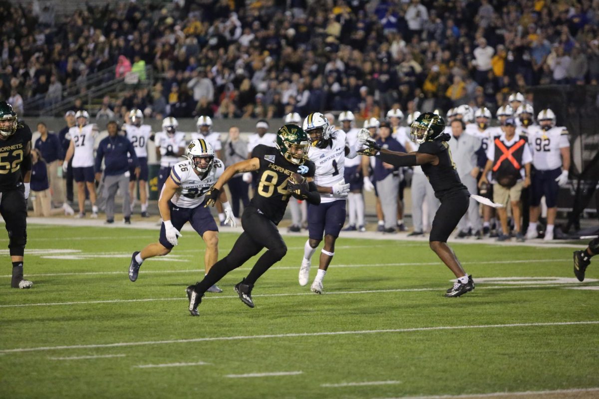 Sacramento State redshirt freshman receiver Danny Scudero running after the catch against Montana State Saturday, Oct. 21, 2023. The Bobcats beat the Hornets 49-7 on Saturday.