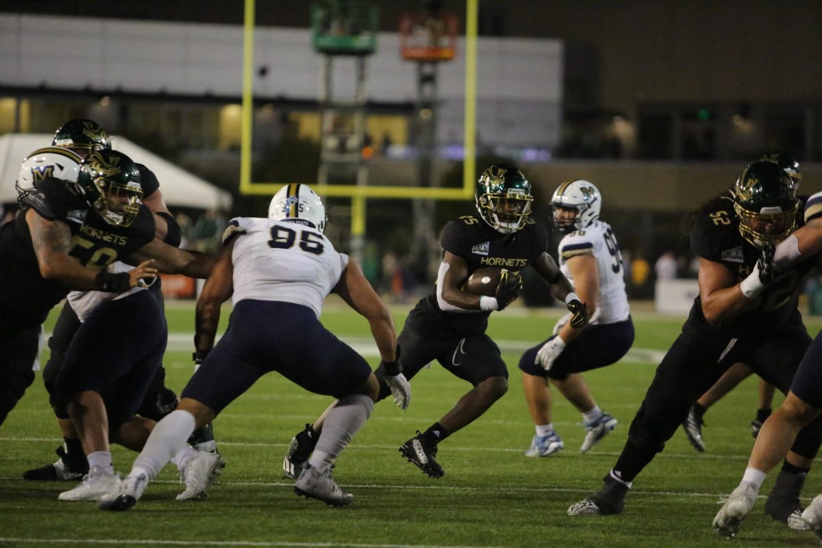 Sacramento State junior running back Elijah Tau-Tolliver against Montana State in a 30-42 loss at home Saturday, Oct. 21, 2023. The Hornets travel to Bozeman, Montana this Saturday looking for their second conference game win of the season.