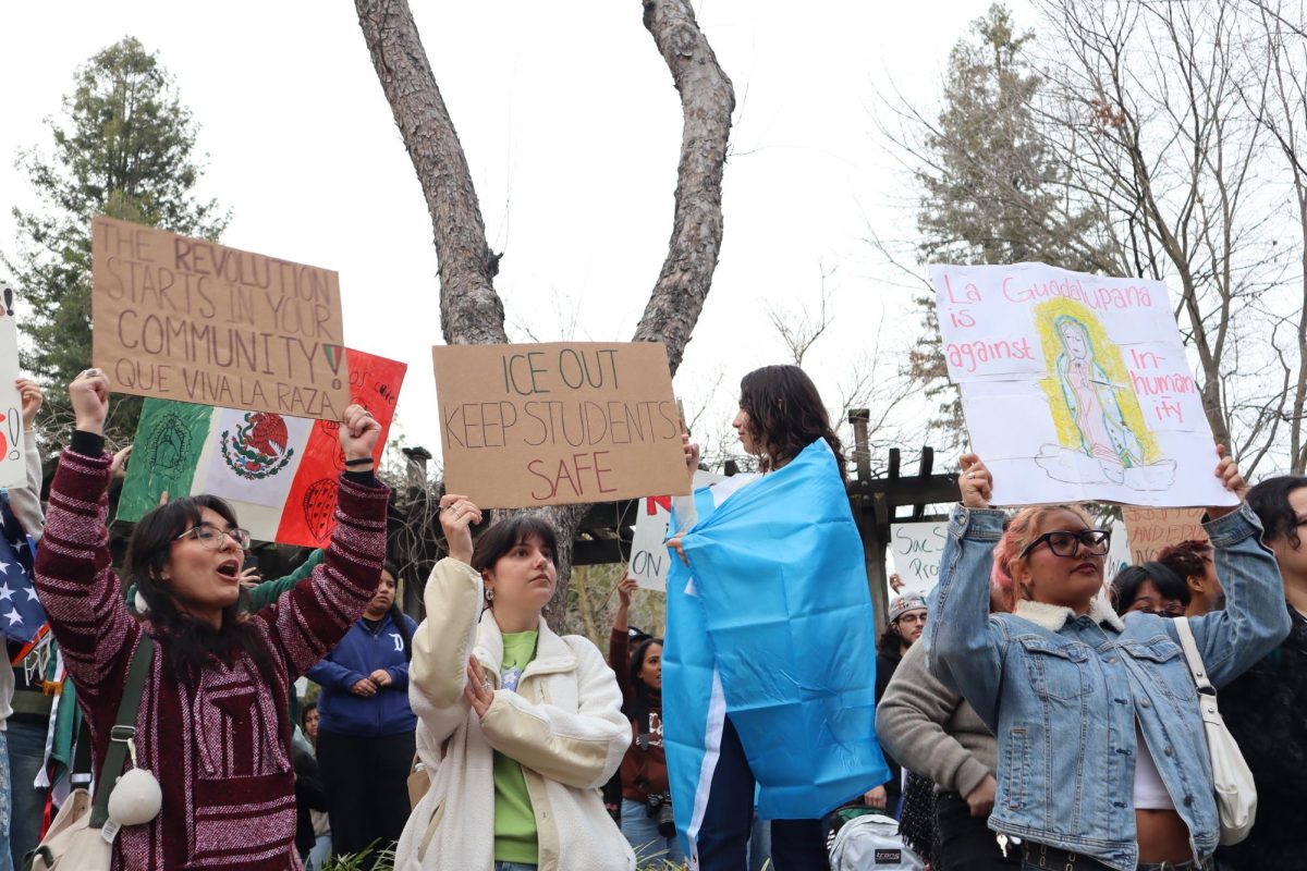 Los estudiantes de Sac State se solidarizan durante la protesta contra la inmigración que tuvo lugar el martes 11 de febrero de 2025 en el patio de la biblioteca. La protesta consistió en testimonios personales, discursos informativos y cánticos en apoyo a la comunidad inmigrante.