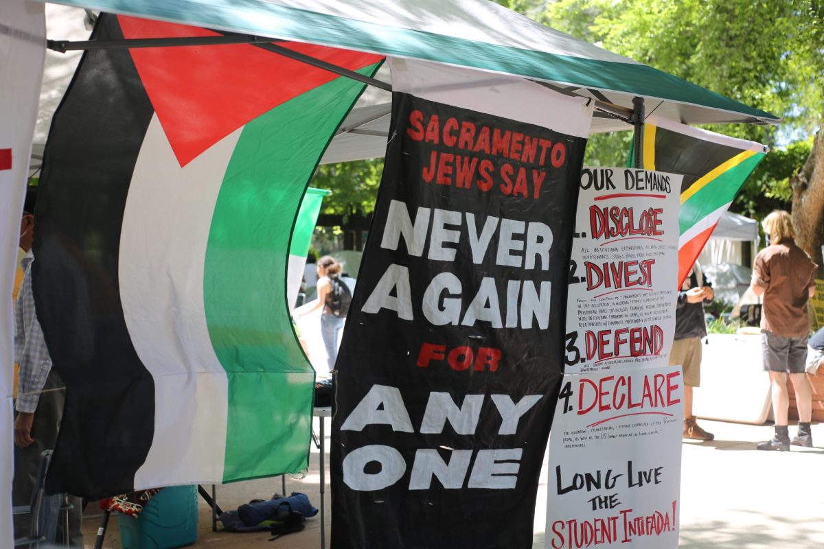 The Palestinian flag is hung alongside protest signs at the Popular University for Palestine encampment in Sac State’s library quad Tuesday, April 30, 2024. Activists from campus and the surrounding Sacramento community organized the encampment last spring to protest the war in Gaza. 