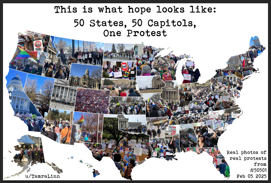 After the protests held nationwide, attendees from every state shared photos of the gathering at their Capitol. This collage has a photo for every one of these in its respective state. (Collage is provided courtesy of u/TamraLinn)