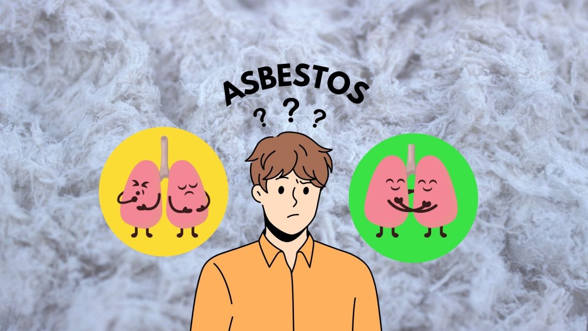 Many of the lecture halls and office spaces on campus are known or suspected to contain asbestos. Asbestos is a harmful mineral that was widely used in construction during the 1960s and 1970s, over a long period of exposure it has been confirmed to cause harm. (Graphic created in Canva by Jade Brown)