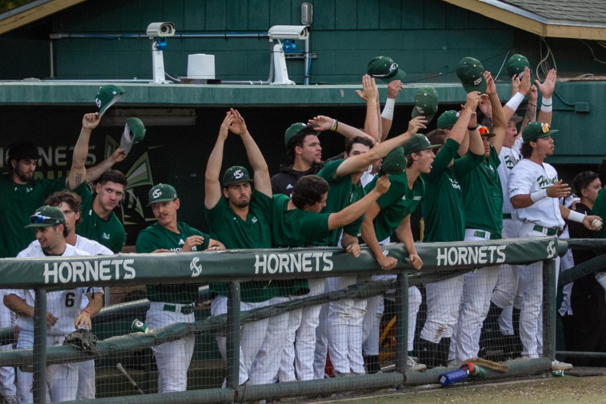 Hornets celebrate after their teammate earns a hit Tuesday, April 29, 2025. The Hornets combined for 50 hits across all three games, the most of the season.