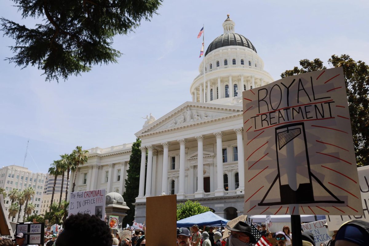References to toppling royalty were abundant in signs held by No Kings Day protestors Saturday, June 14, 2025. The crowd began forming in front of the Capitol at 10 a.m. and continued until the crowd began to disperse around 1 p.m..