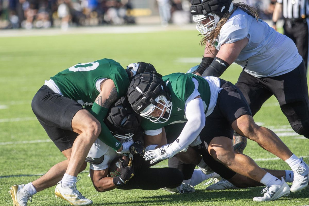 Sacramento State’s defense dominated the final scrimmage Aug. 16, 2025. The group recorded four interceptions, two fumbles and six sacks. (Photo by Mateo Davis)



