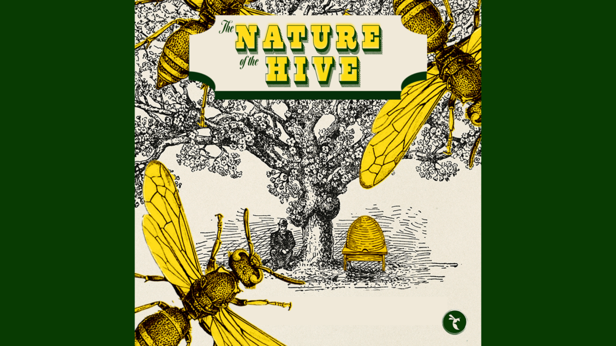 Graphic created in Canva